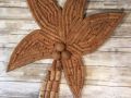 Cork Palm